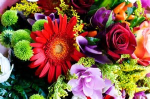 Flowers for friends.jpg