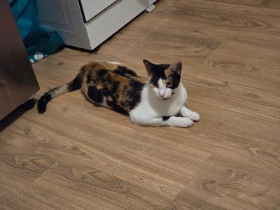 Marta sitting on kitchen floor.jpg
