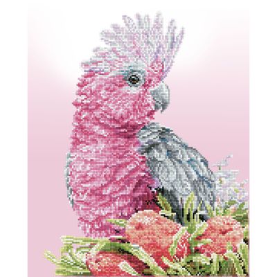 pink.jpg
