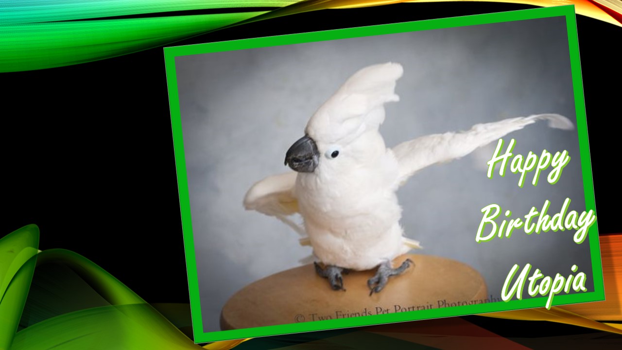 undefined