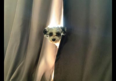 IMG_0604.jpeg