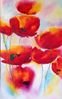poppies L holbeg.jpeg