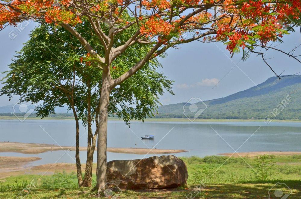 19603394-stone-seat-under-orange-flower-tree-near-lake-view.jpg