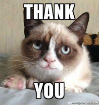 happy-grumpy-cat-is-happy-thank-you-e1501925253225.jpg