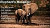 elephant 1.jpg