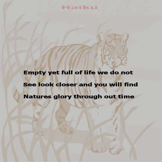 natures glory.jpg