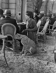 Woman with pet at cafe