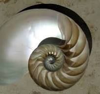 Significant natural form